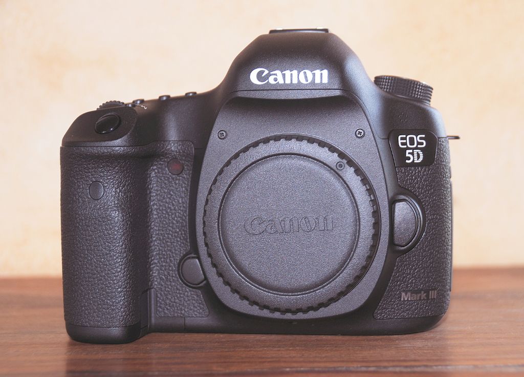 Canon EOS 5D Mark III per fotomicrografia